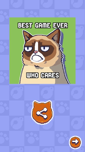 Grumpy Cat