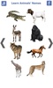 تعليم أسماء الحيوانات باللغة الانجليزية screenshot 4