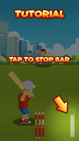 Street Cricket - Preview 13