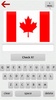 Flags Logo Quiz screenshot 5