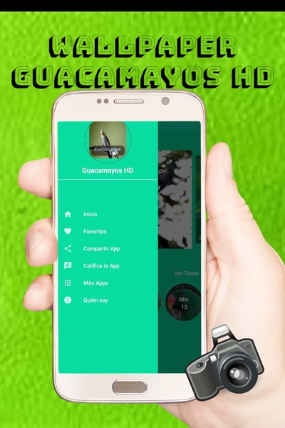 Guacamayos HD - Preview 2