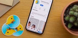 Imagen destacada de BirdyChat