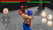 Steely Boxer screenshot 4