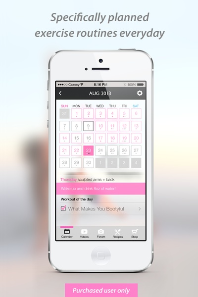 Blogilates - Preview 4
