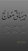 Hakeem Luqman Nuskhe in Urdu screenshot 6