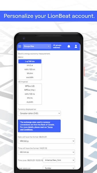 Lionbet app