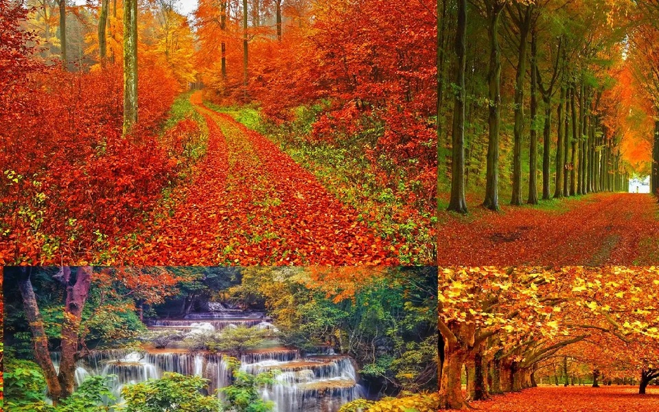 Autumn Landscape Wallpaper - Preview 2
