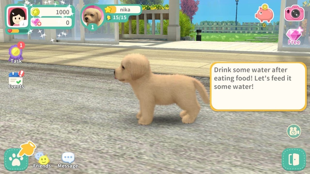 My Dog - Preview 4