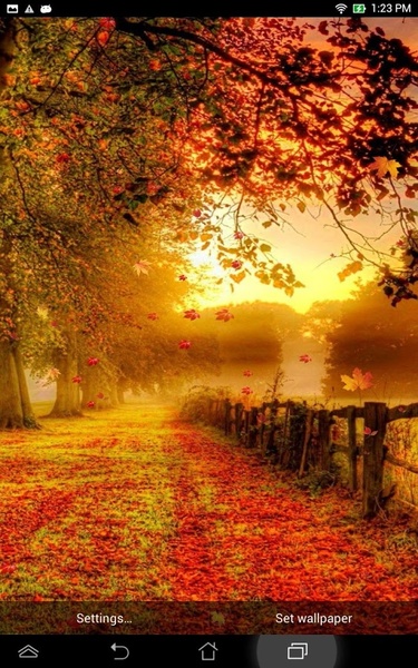 Falling Leaves Live Wallpaper - Preview 4