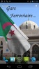 Algeria Flag screenshot 7