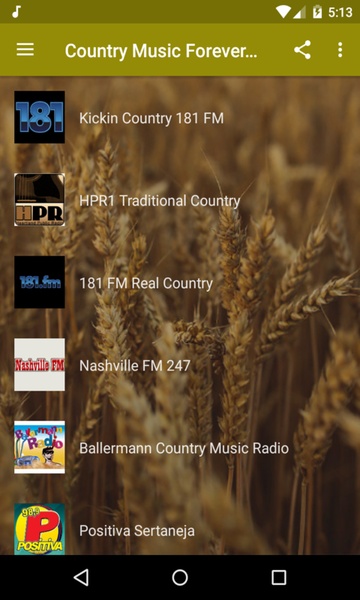 Country Music Forever Radio Free - Preview 4
