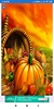 Thanksgiving Wallpaper: HD images Free download screenshot 7