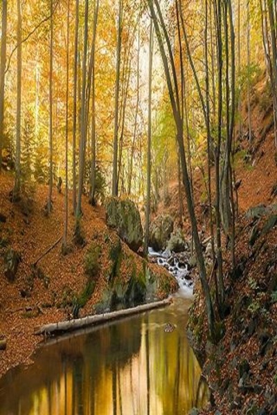 Landscape photography 1 - Preview 1