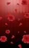 Carnation Live Wallpaper screenshot 2