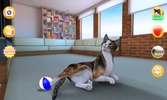 Talking Calico Cat screenshot 5