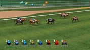 Champion Horse Racing screenshot 6