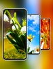 Galaxy A54 5G Wallpaper screenshot 2