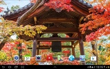 Zen Garden Live Wallpaper screenshot 6