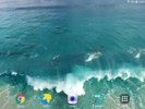 Dolphins Video Live Wallpaper screenshot 1
