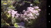 MACHU PICCHU e Cammino Inca - 1 screenshot 2