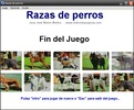 Razas de perros screenshot 1