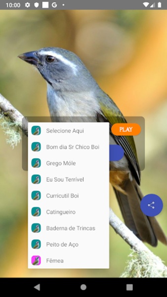 Cantos Do Trinca Ferro - Preview 4