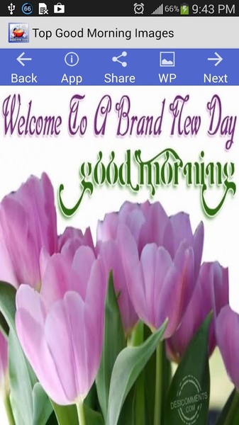 Top Good Morning Images - Preview 8