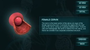 Female Reproduction system 3D screenshot 1