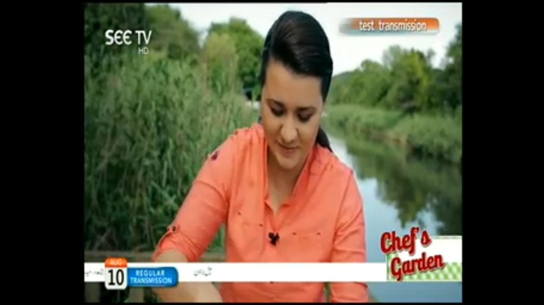SEE TV - Preview 1