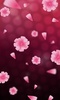 Carnation Live Wallpaper screenshot 3