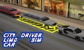 City Limo Car Parking Driver Sim 3D screenshot 16