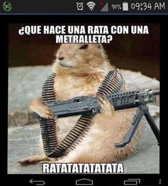 imagenes de todo - Preview 4