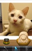 Mokugyo(With Cat) screenshot 3