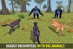 Wild Panther Family Simulator screenshot 14