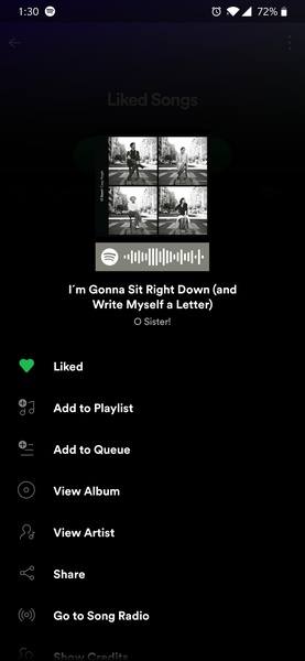 Spotify - Preview 29