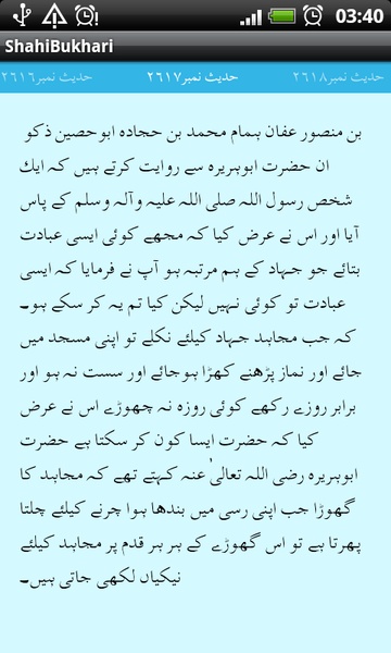 ShahiBukhari - Preview 3