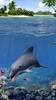 Dolphins live wallpaper screenshot 3
