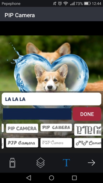 PIP Camera - Preview 4