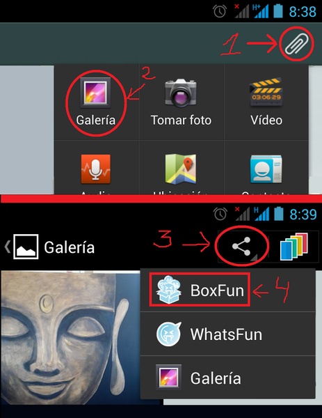 BoxFun - Preview 7
