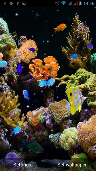 Aquarium Live Wallpaper - Preview 5