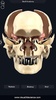 Skull Anatomy Pro. screenshot 10