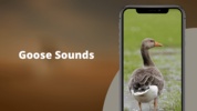 Goose Sounds & Hunting calls screenshot 5