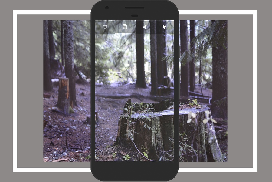 Nature Wallpaper Trees - Preview 4