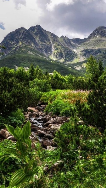 Landscape Live Wallpaper - Preview 4