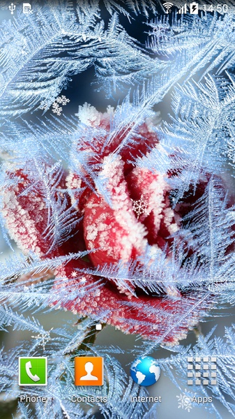 Frozen Flowers Live Wallpaper - Preview 10