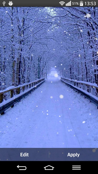 Winter Forest Live Wallpaper - Preview 3