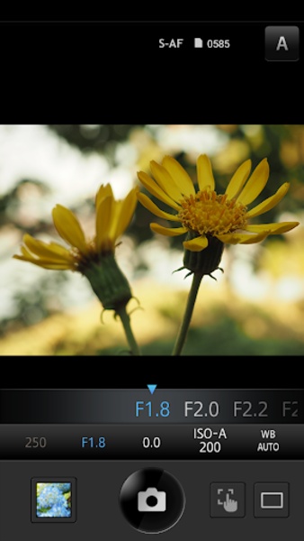 OLYMPUS Image Share - Preview 1