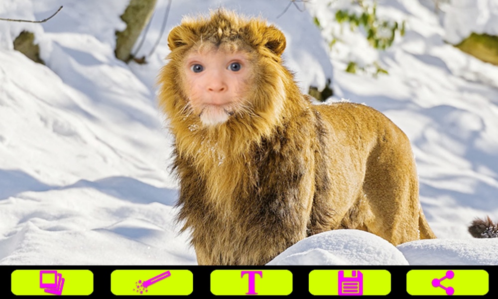 Lion Photo Frames - Preview 3