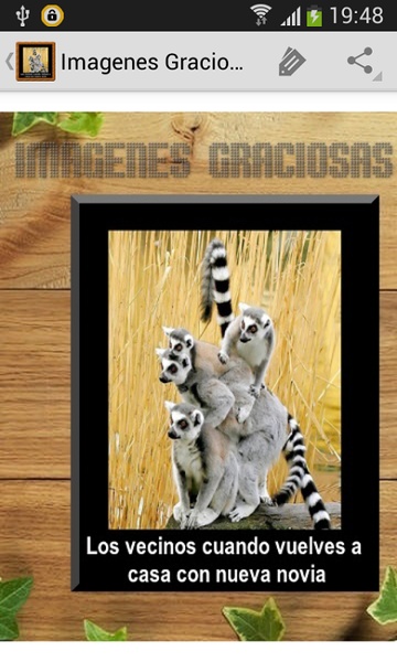 Imagenes Graciosas - Preview 7