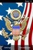 3D USA Coat of Arms & Flag LWP screenshot 2